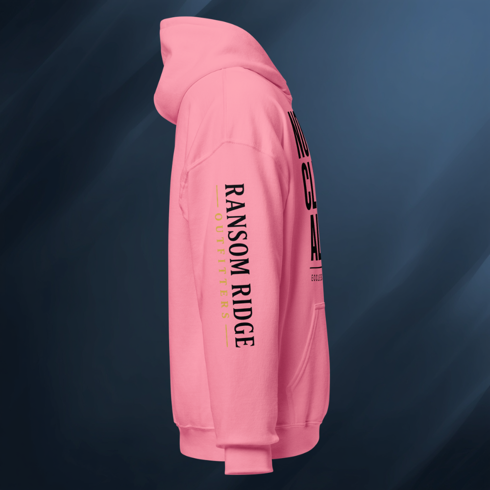 Nobody Climbs Alone 2 Unisex Hoodie